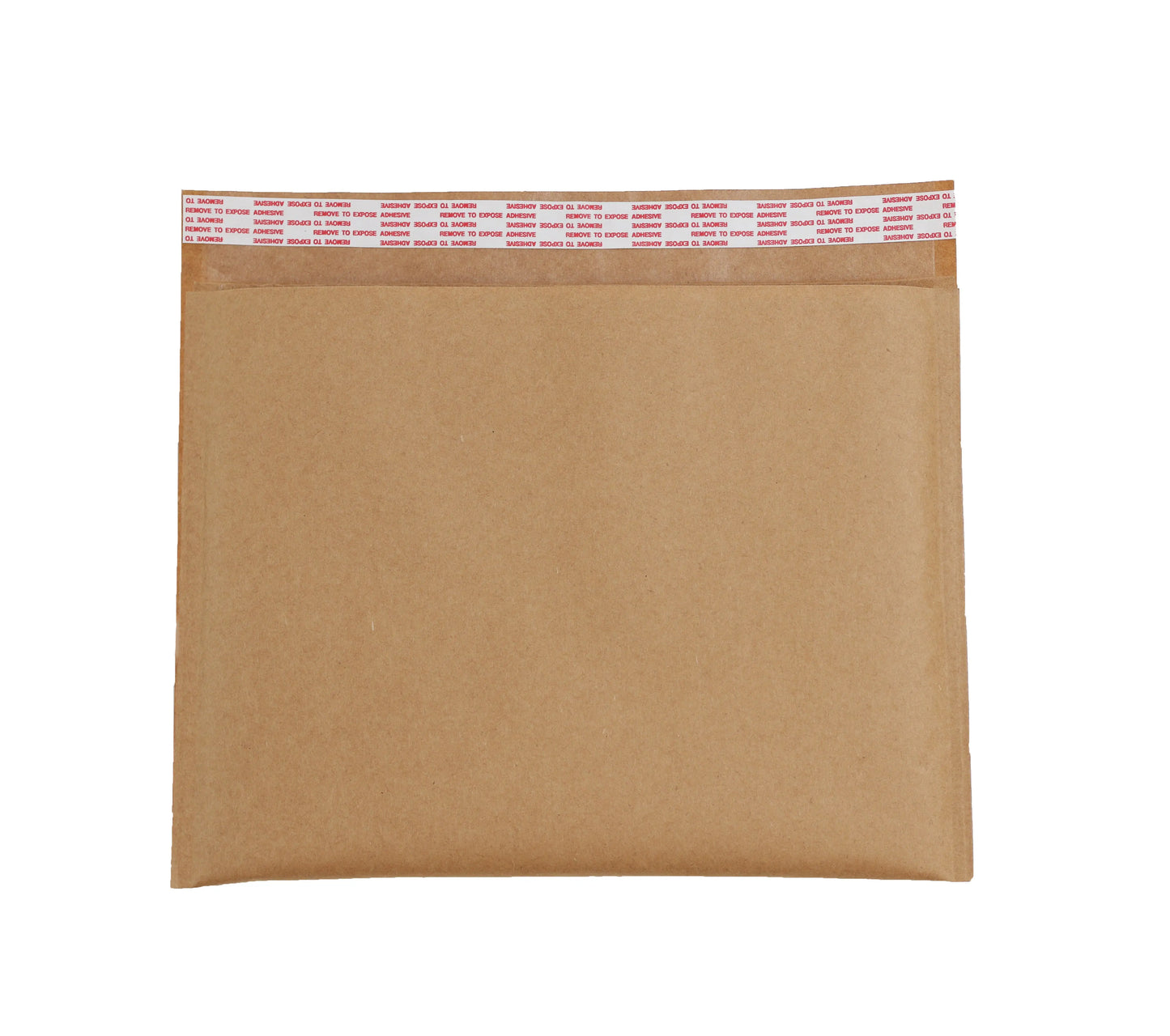 Padded Paper Mailer 12"x9"